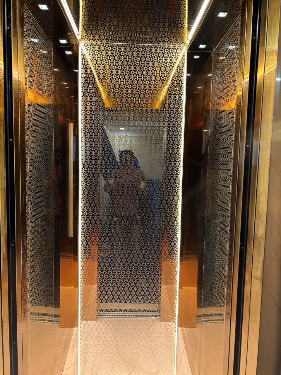 Residential home elevator